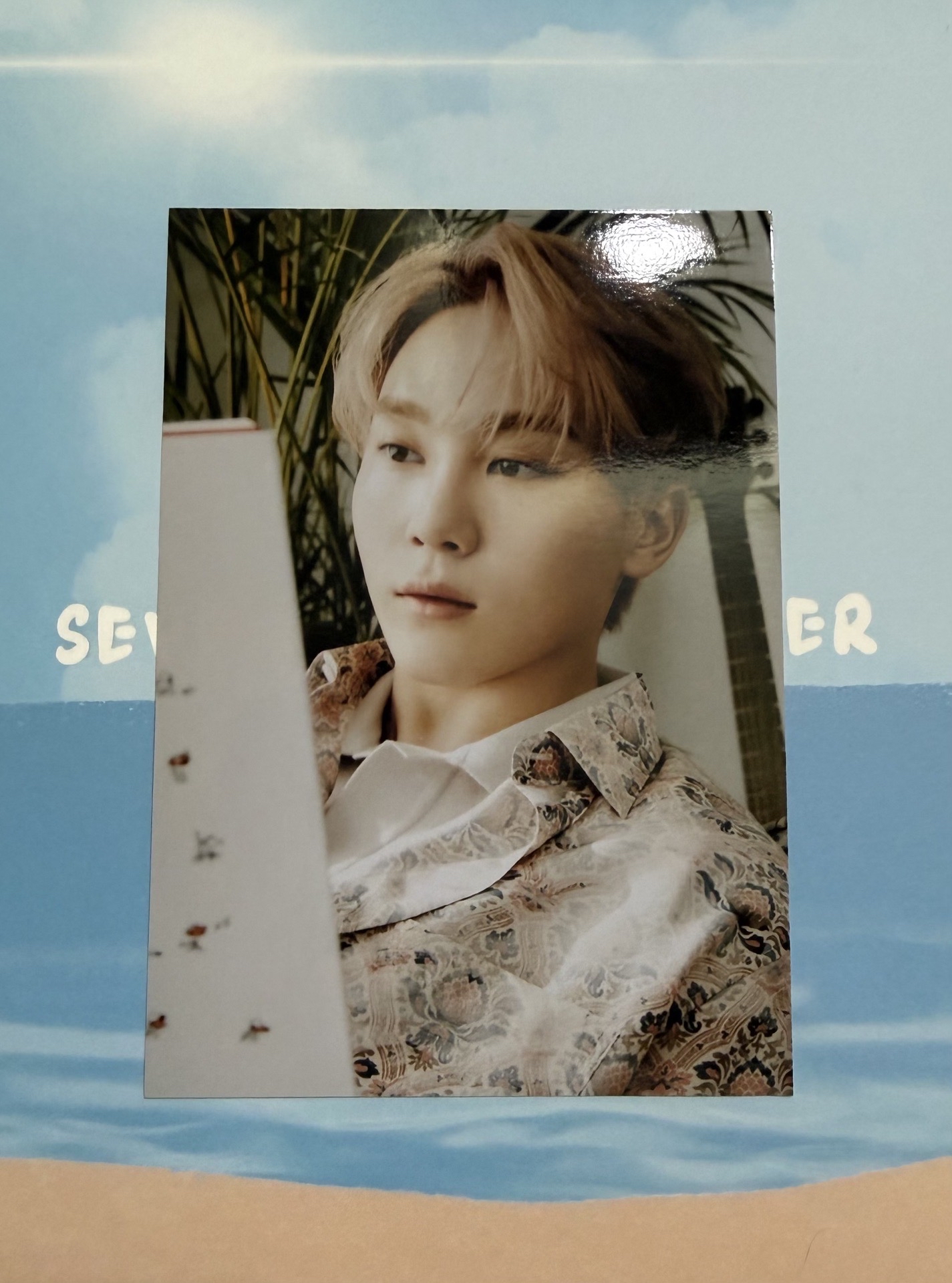 迷8生寫真（相片材質）