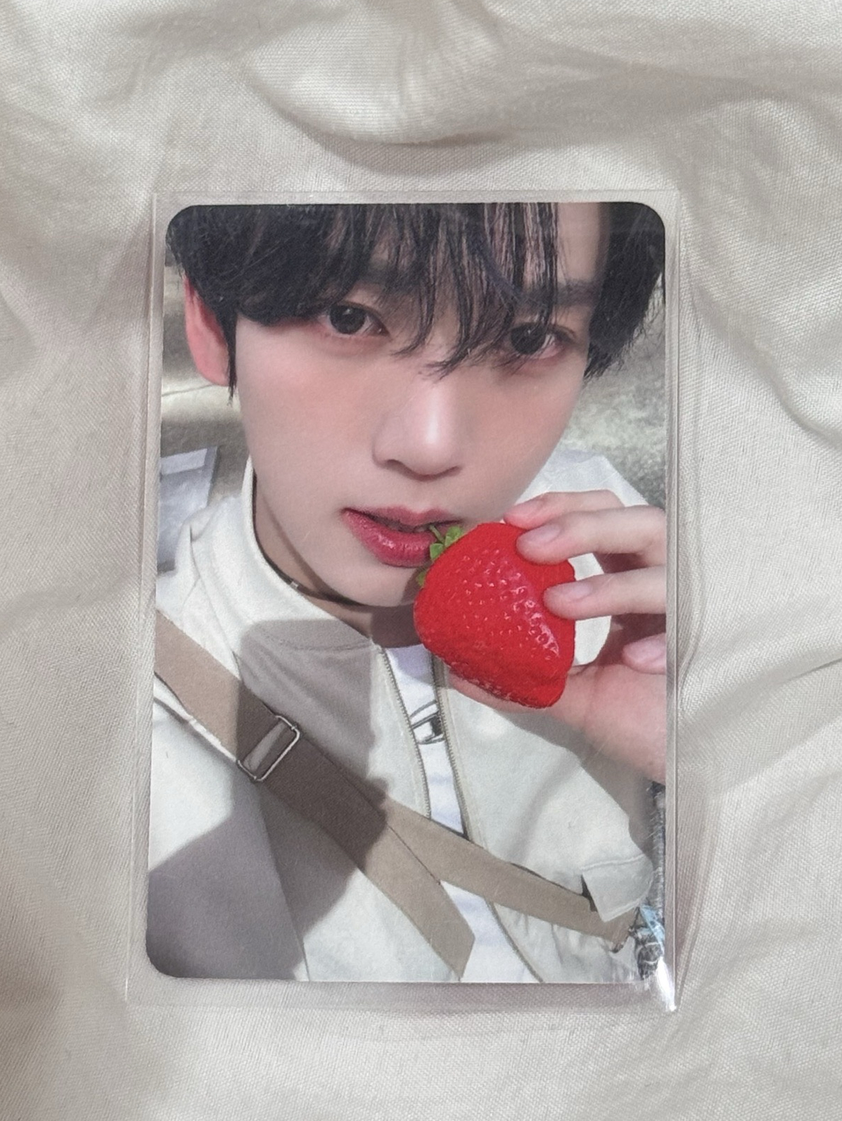 zb1 迷五 草莓辰