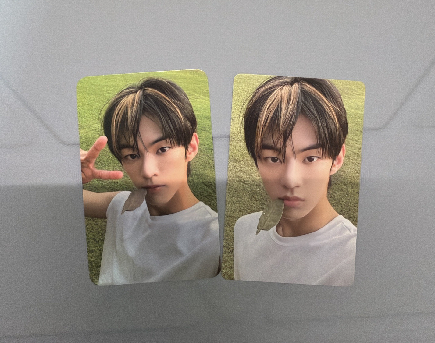 TWS 道勳summer beat 特典小卡