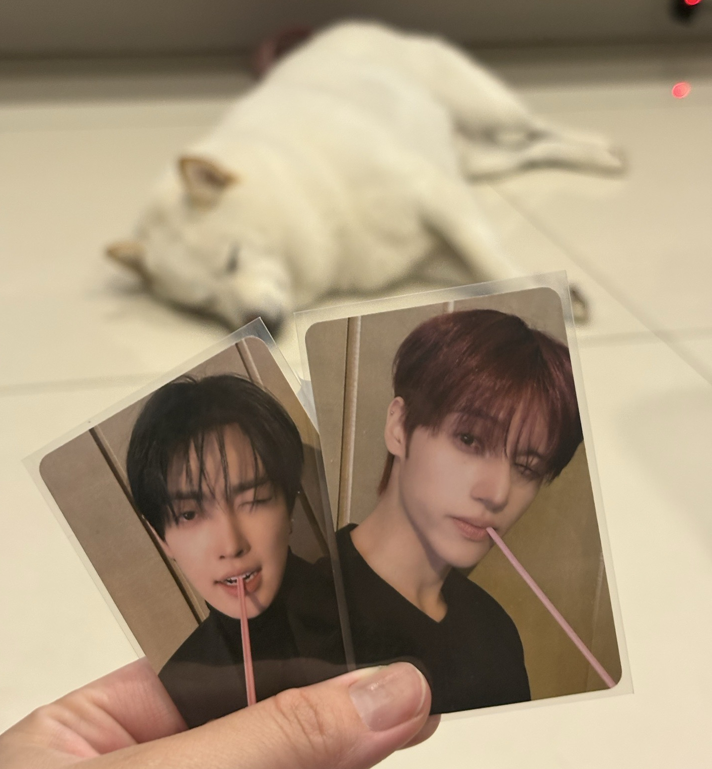 金弘中鄭友榮🐿️飲料卡（請勿下單）