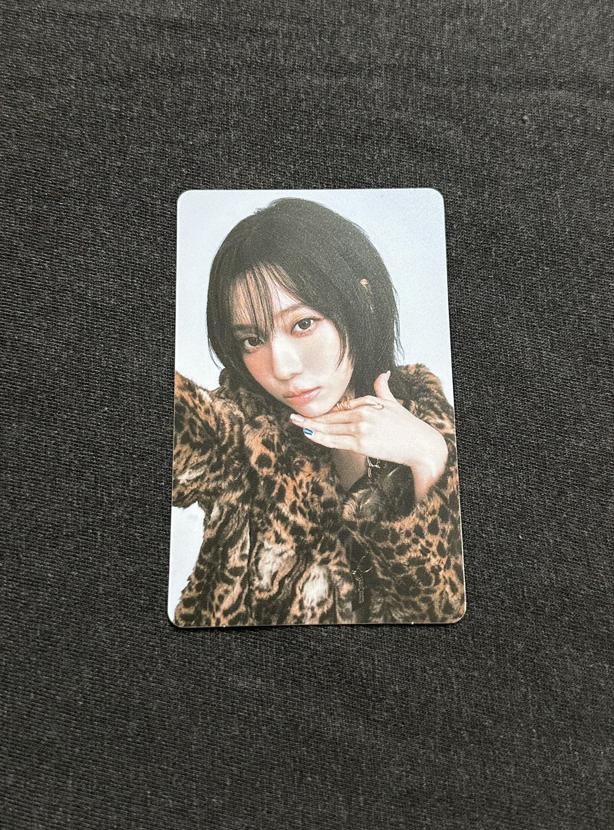 三巡 日巡 隨機卡冬