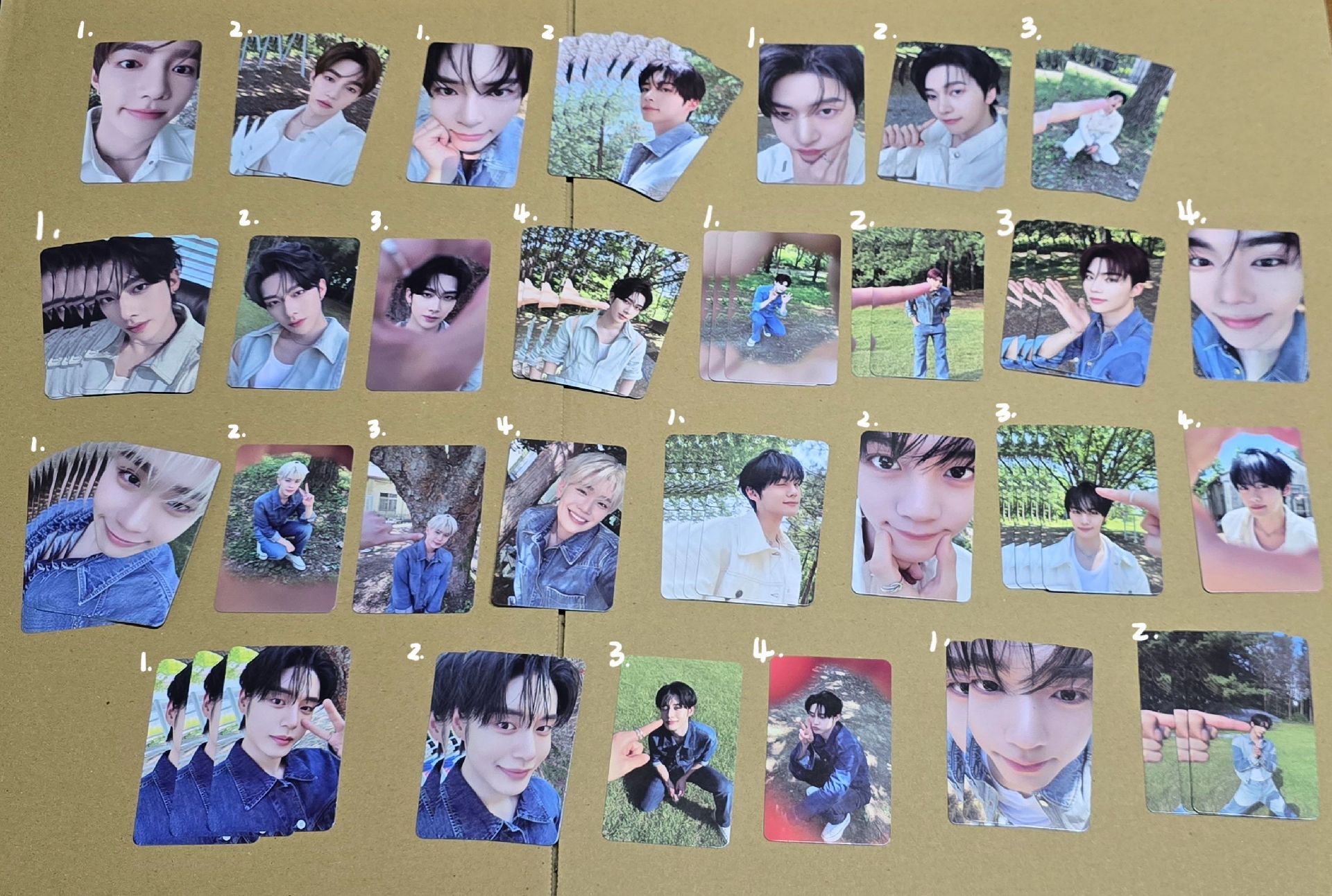 ZB1 正規一 PB小卡