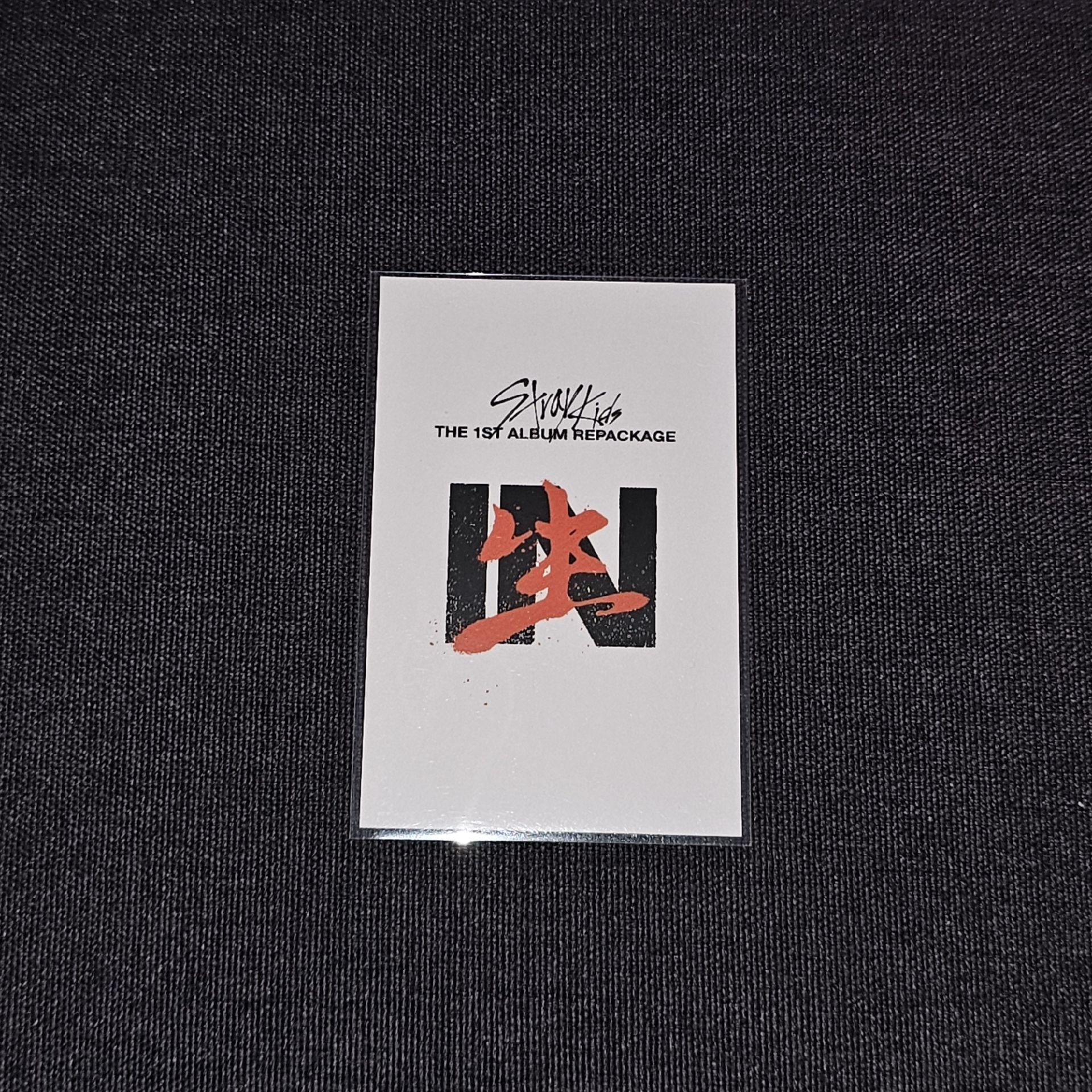 IN生 wd 辰 小媽辰