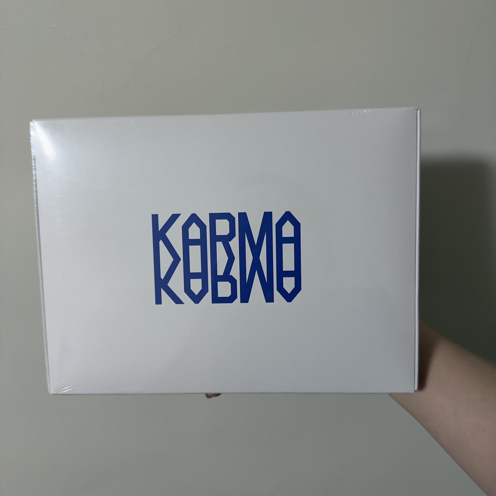 Stray kids Karma白版未拆專