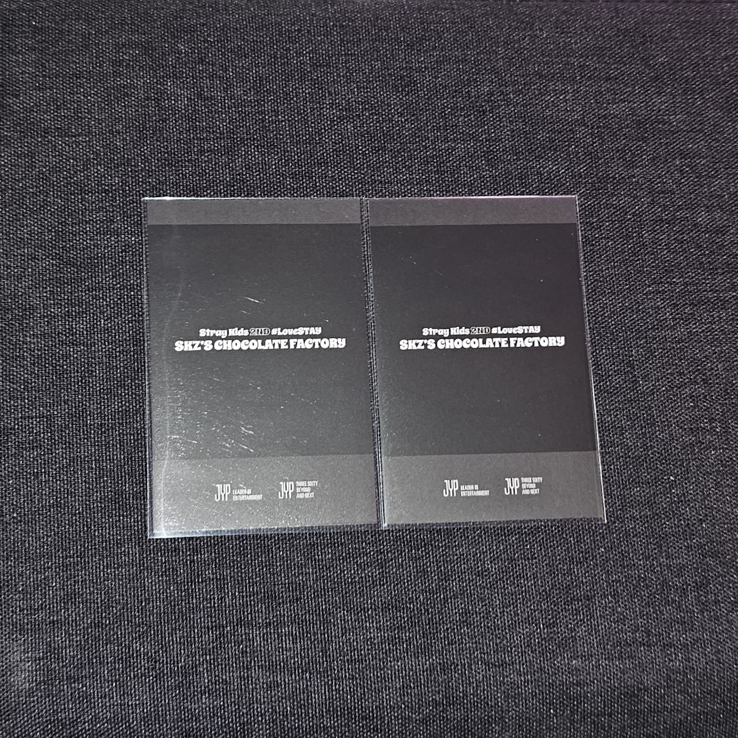 拍立得辰 貓耳辰