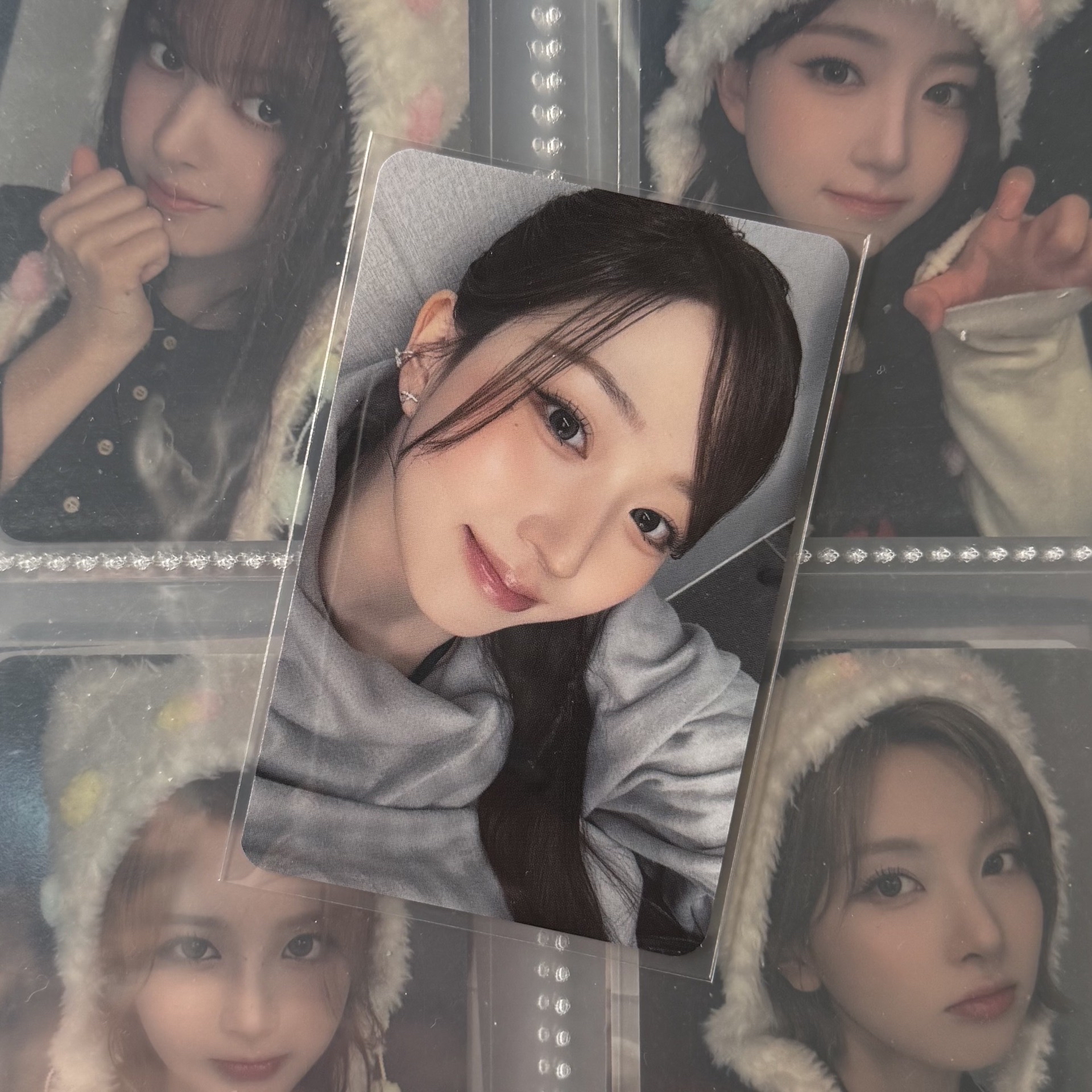 🐳正規一 ms深圳合影 嫄