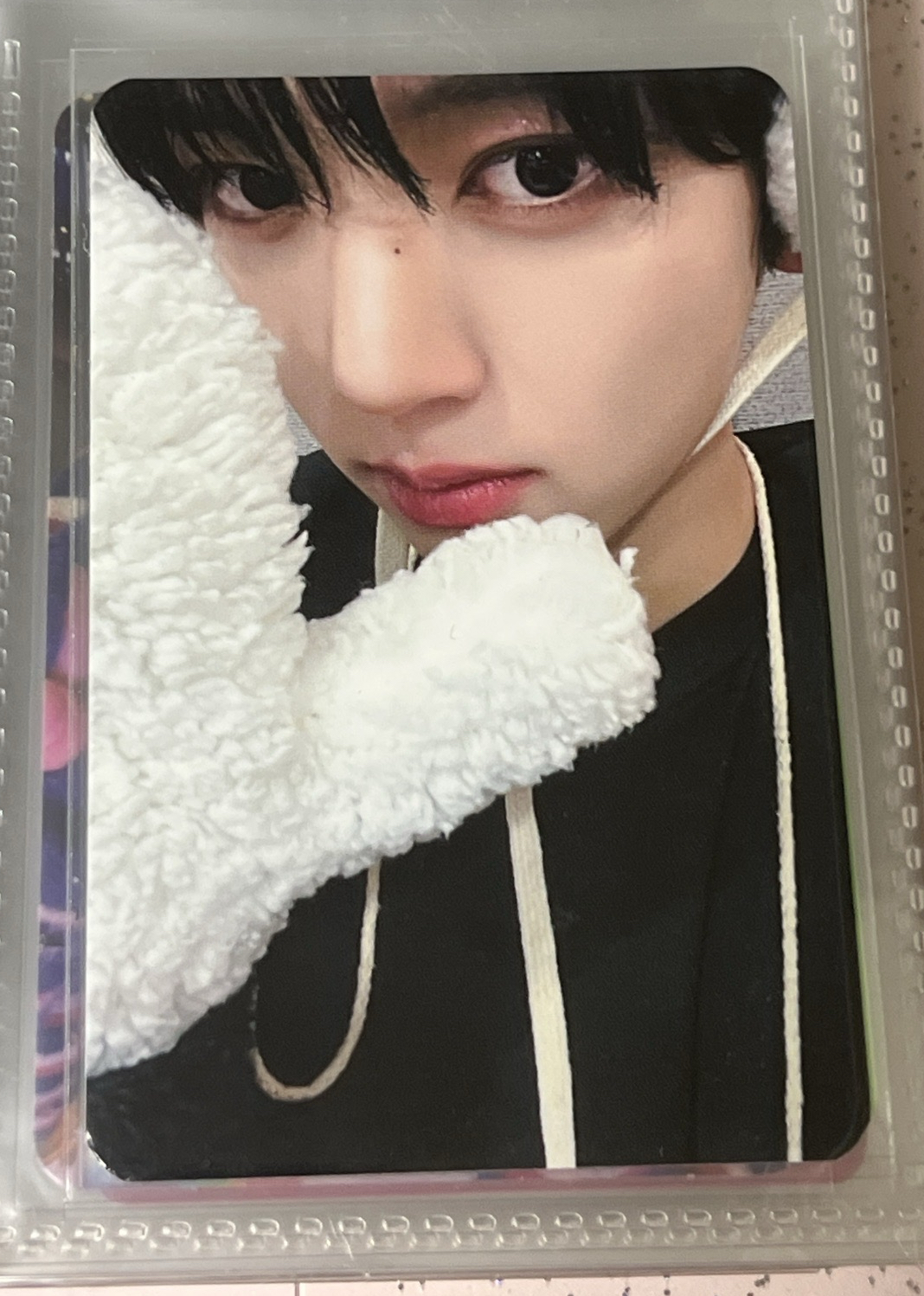 迷二 LD 北極熊辰🐻‍❄️