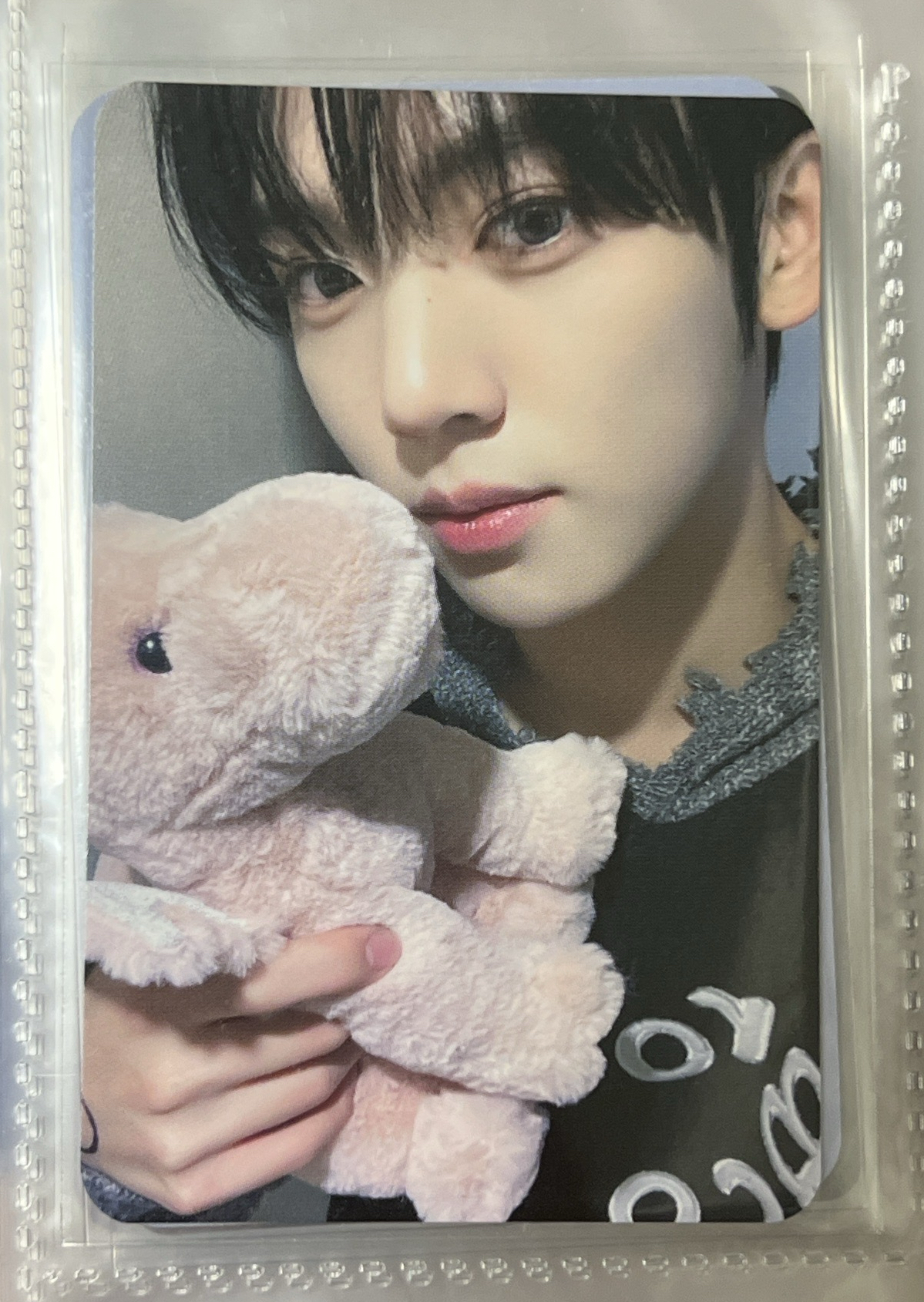 迷二 LD 龍寶辰🐲