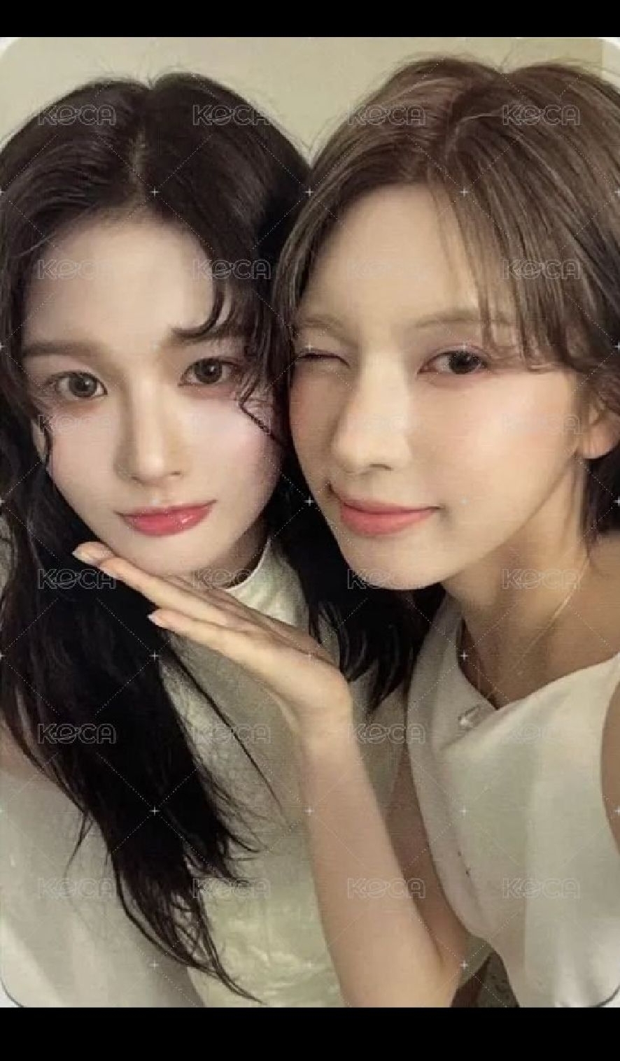 正規一 薛裴雙人卡