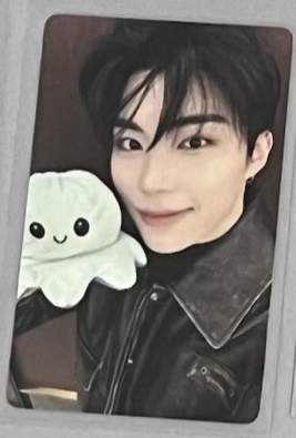 迷五 一直娛簽售 章魚娃娃 旭（中背）