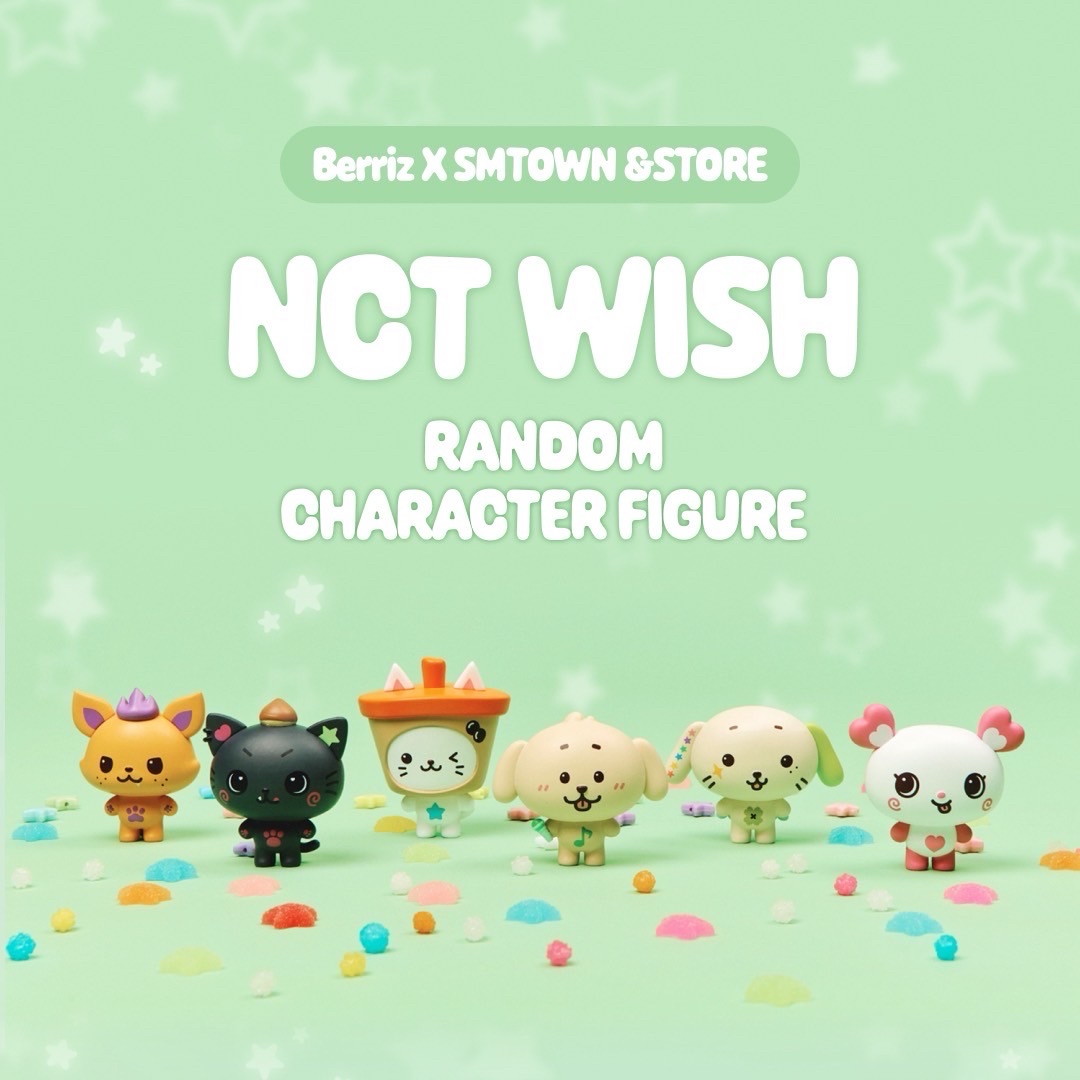 nct wish盲盒公仔 wish doll