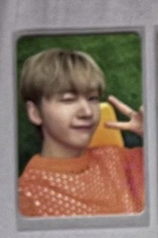 芭蘭歌林代言卡