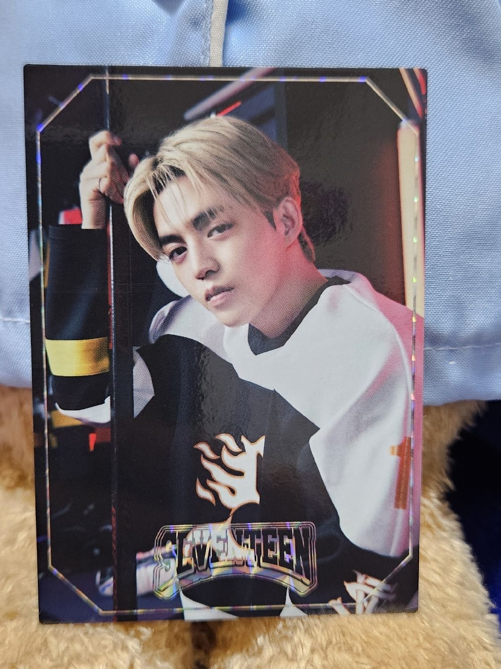 Seventeen home 哲卡