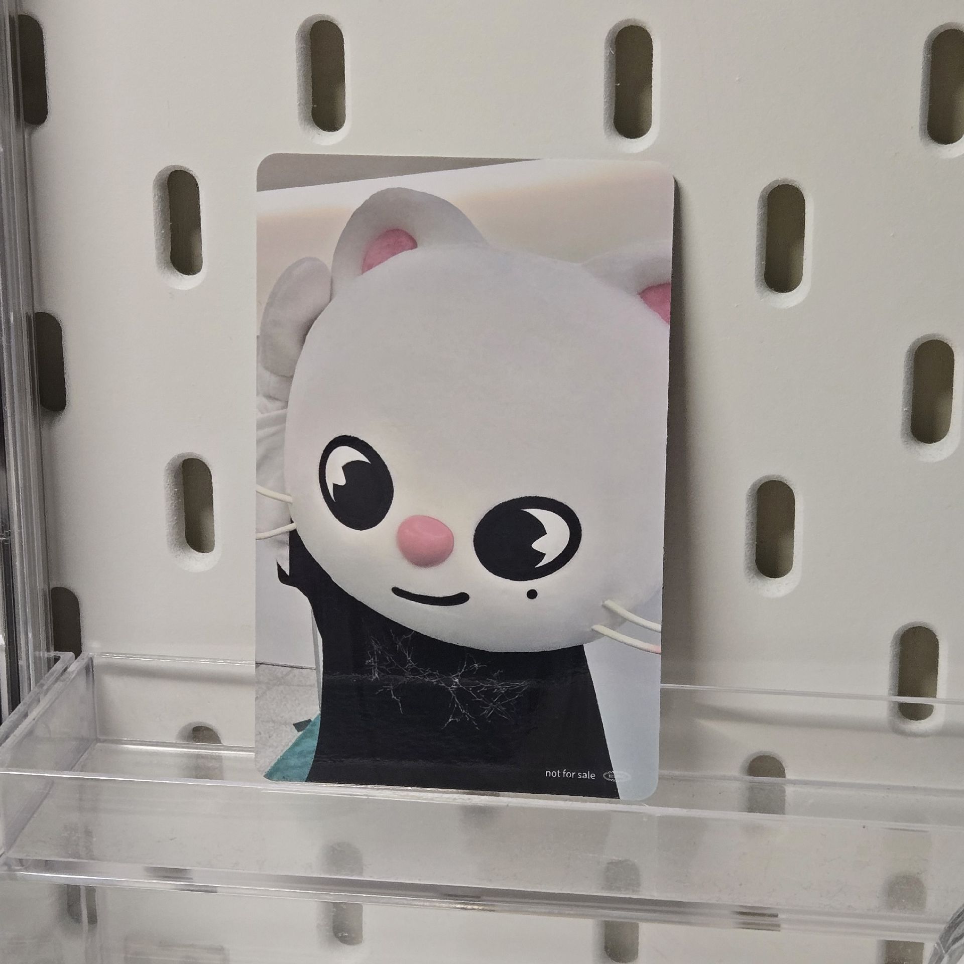 Hollow塔店 萌萌辰！萌萌貂！