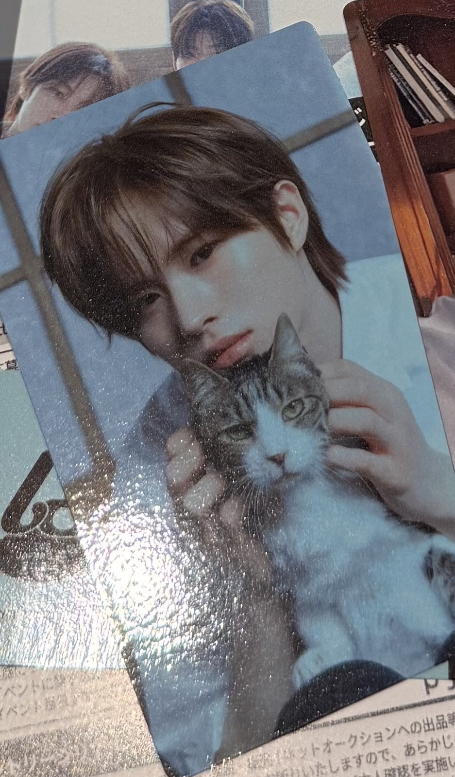 申惟日專單封+圖二初回A專卡（含A版專）