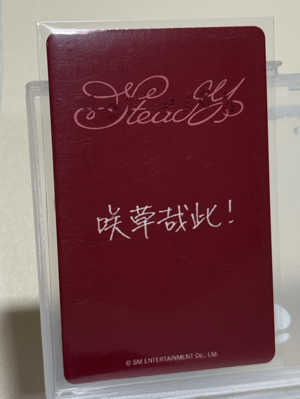 Sakuya steady kms 中背