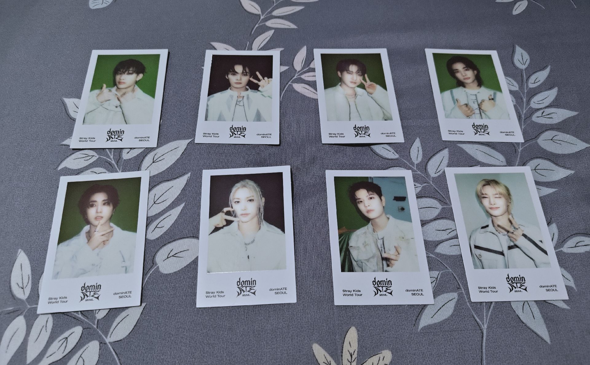 dominateDVD 藍光固卡 拍立得照