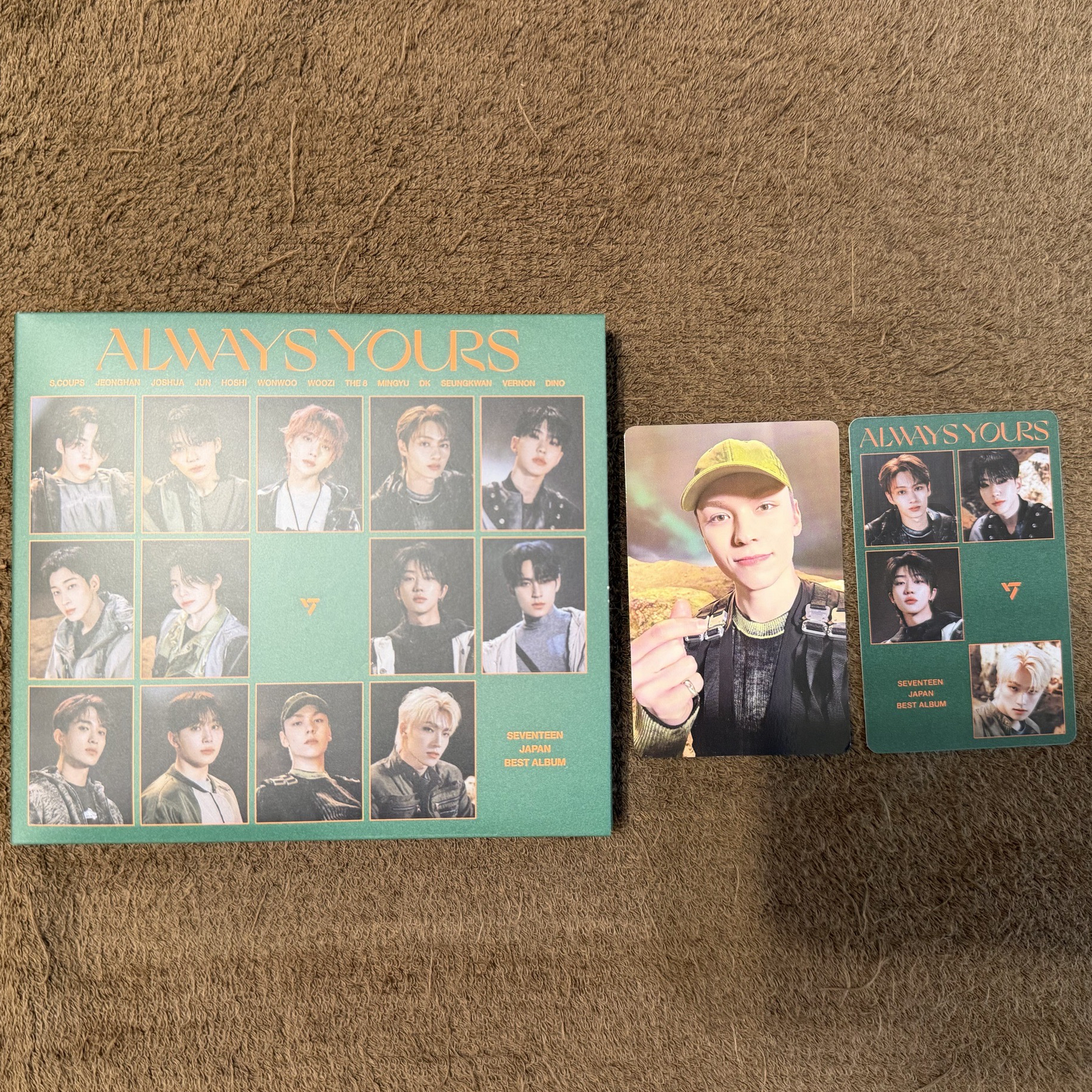 🐻‍❄️率 D盤全專