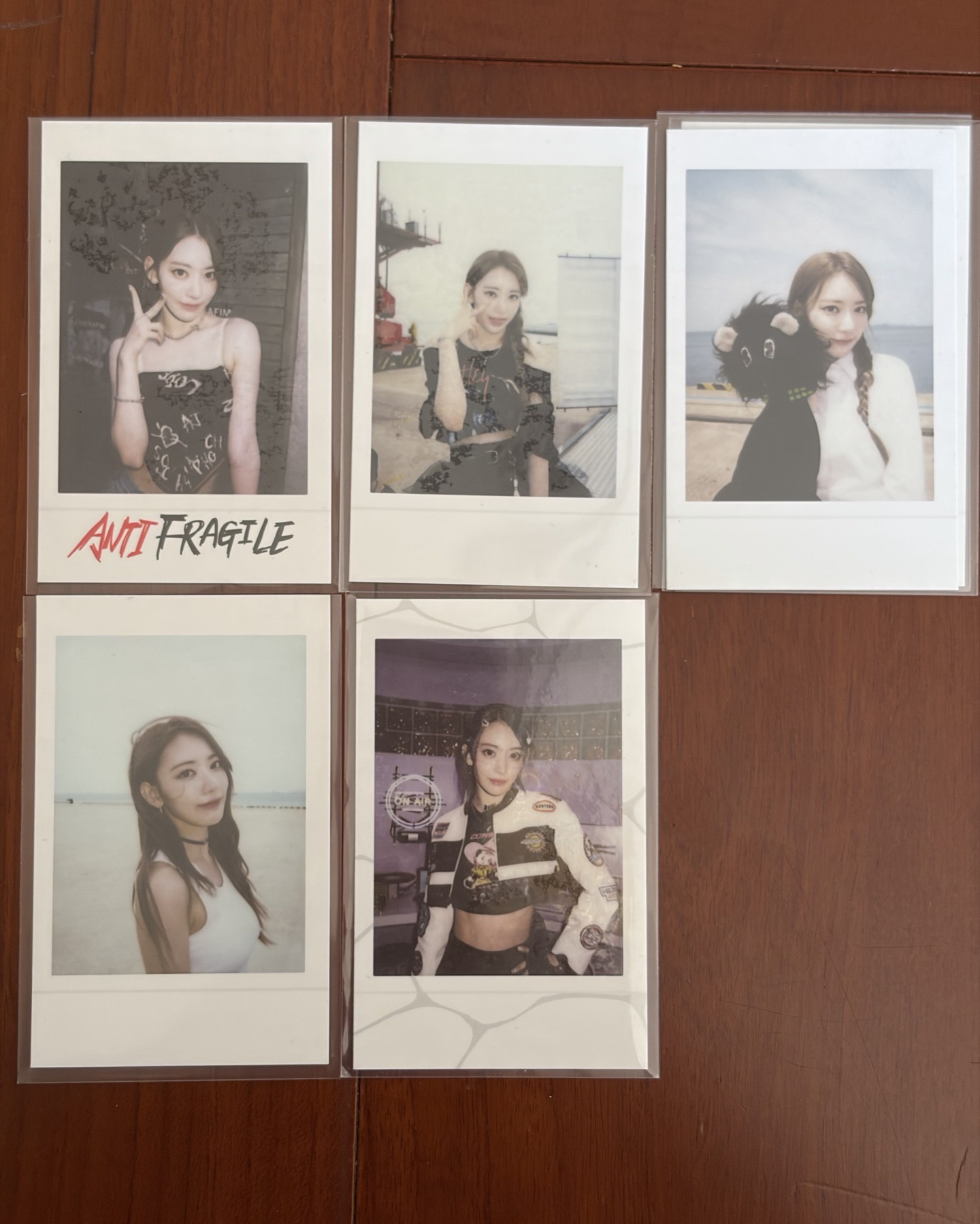 櫻花 ANTIFRAGILE 隨機卡 官周拍立得