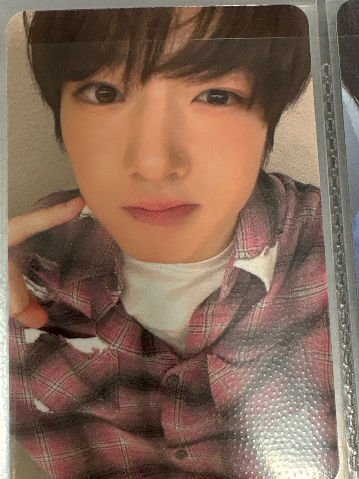 撒哭呀簽售、專卡