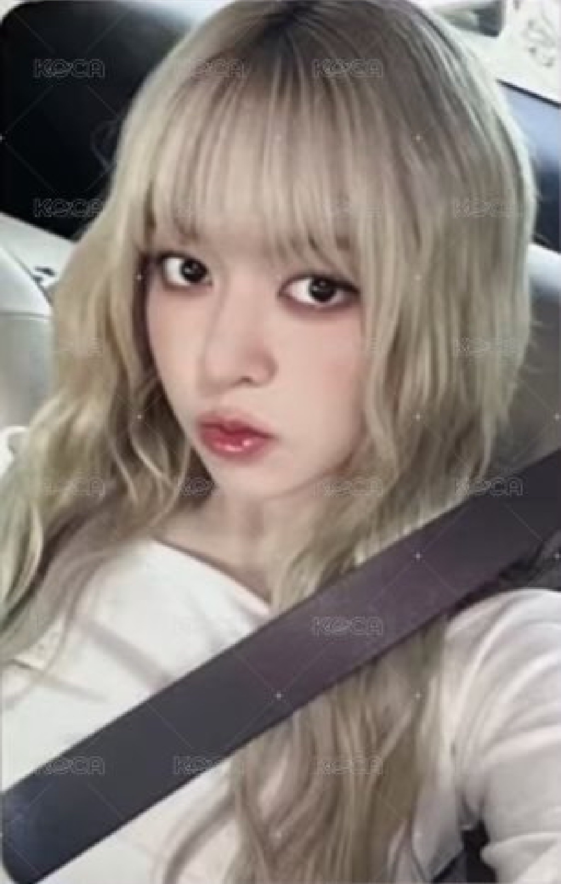 正規一 MS 12.0 當我去見你 莉