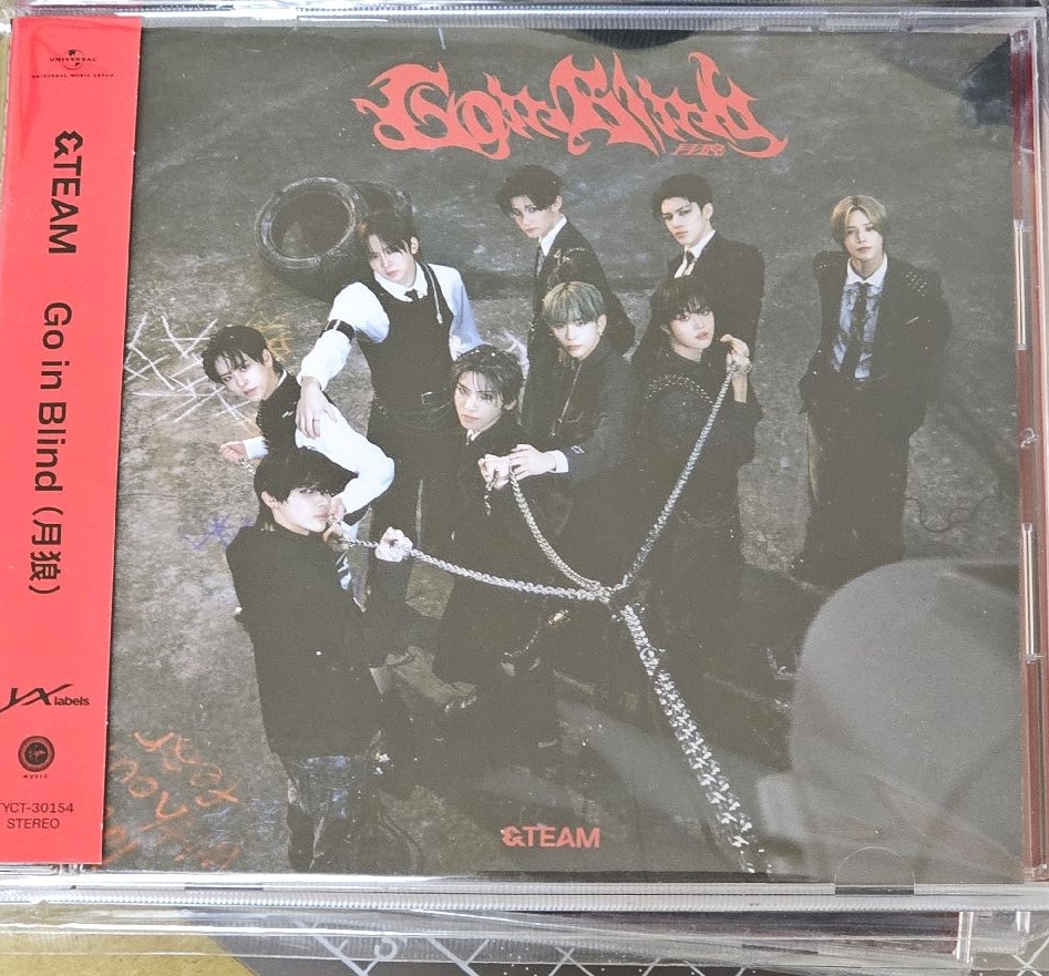 &TEAM 月狼通常盤 未拆專（有損）