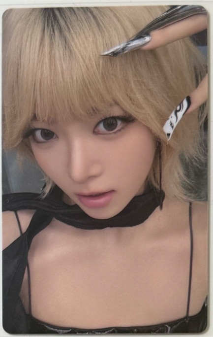 金短黑衣採（付貼紙）