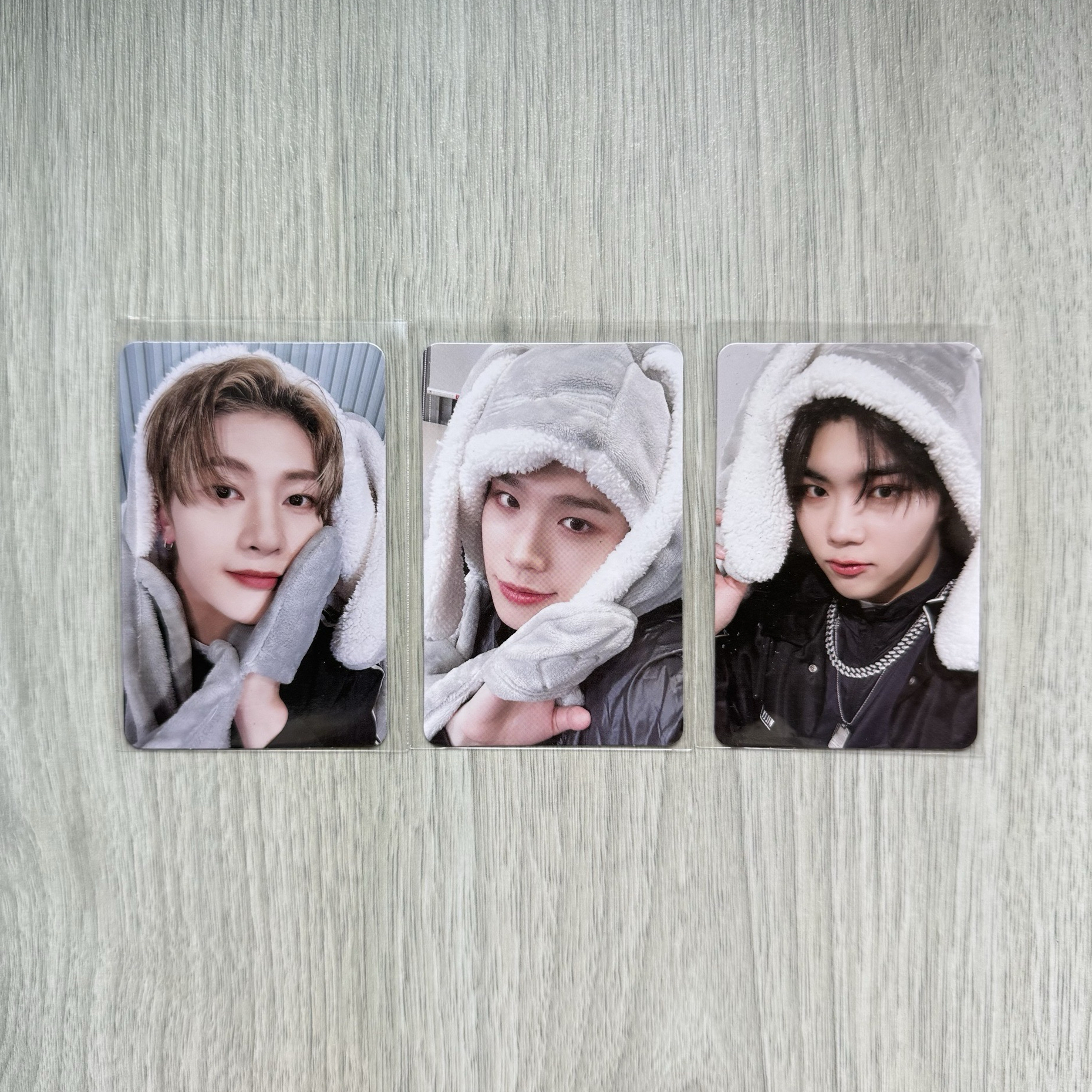 ZB1 迷二 ms 兔毯特典