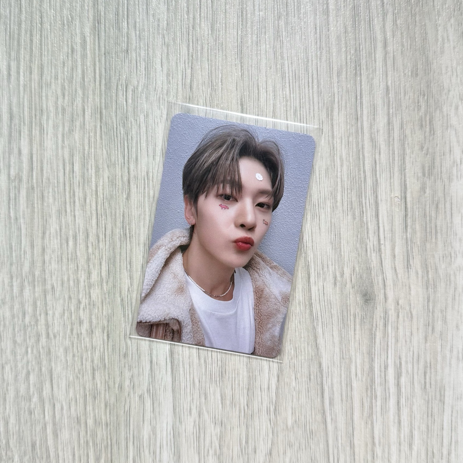 ZB1 馬修 數星星特典 [中背]