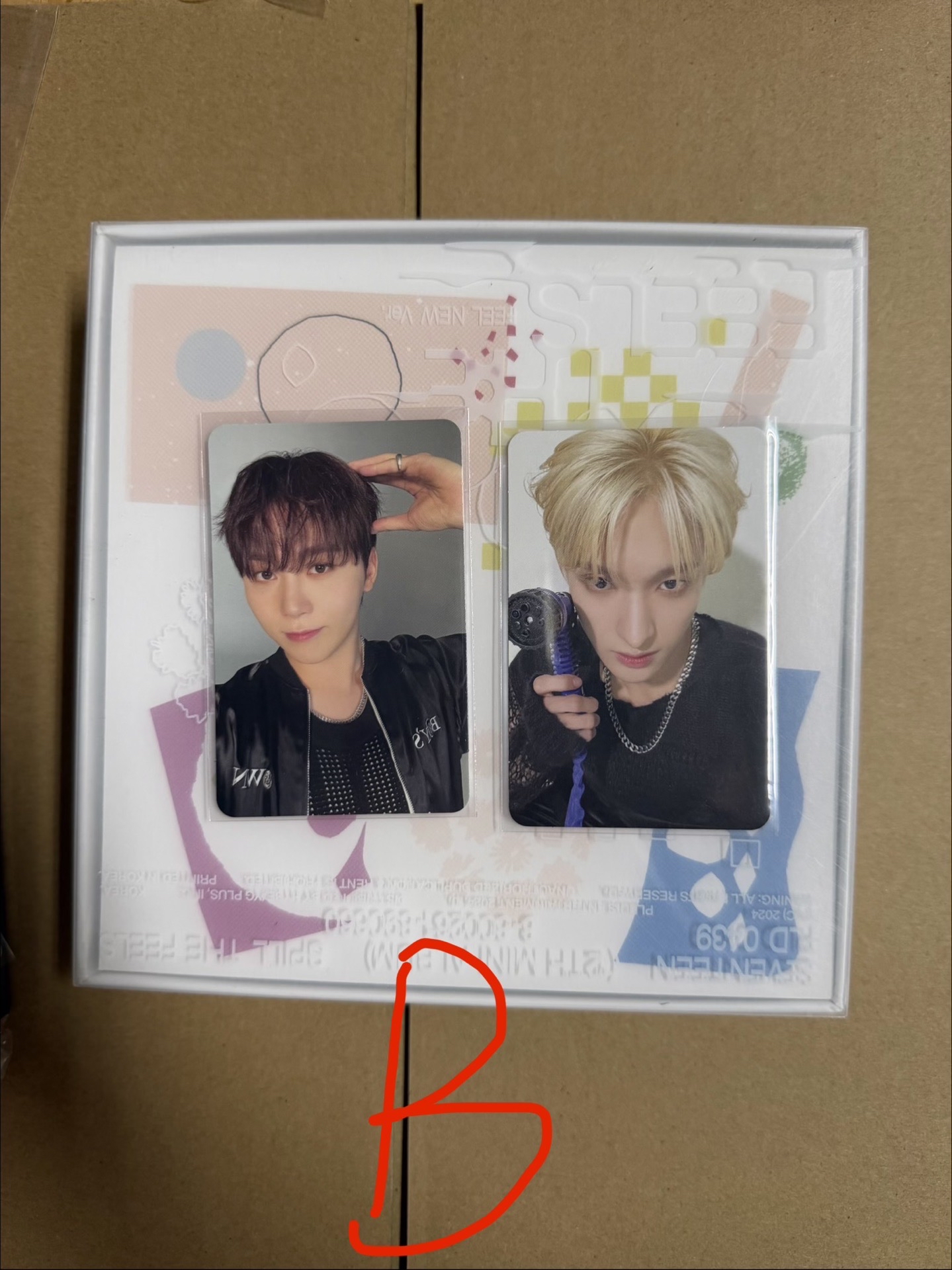 迷十二全專（B,C)