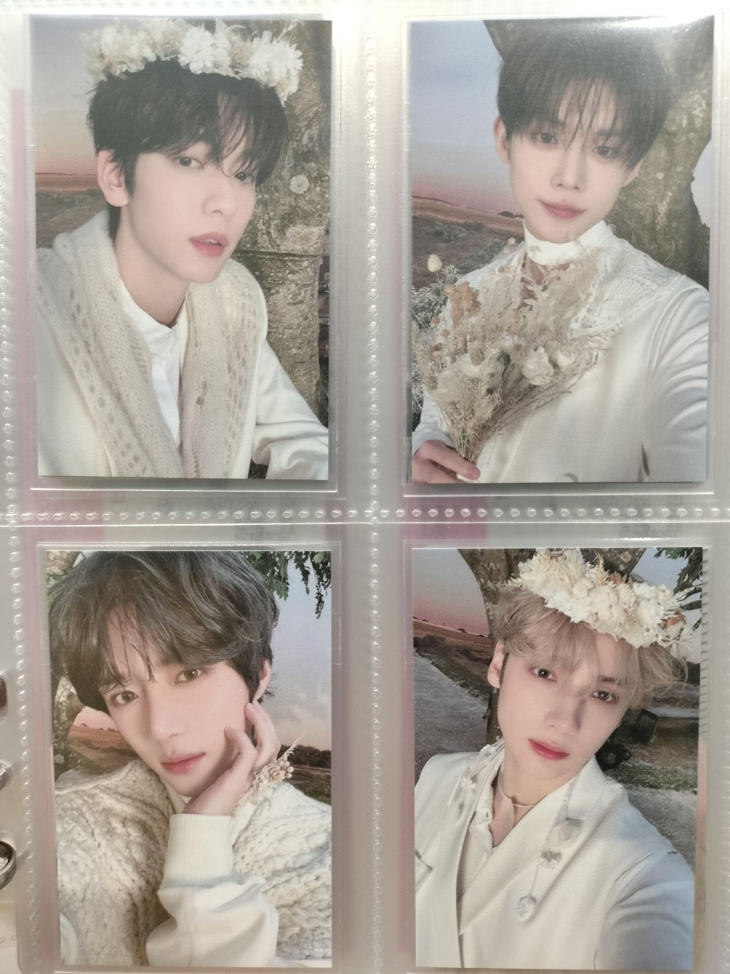 24年巡迴入場卡 moa zone 粽卡 花環彬 四張不拆