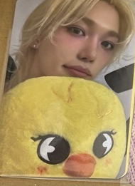 安可pop up線下滿額菲