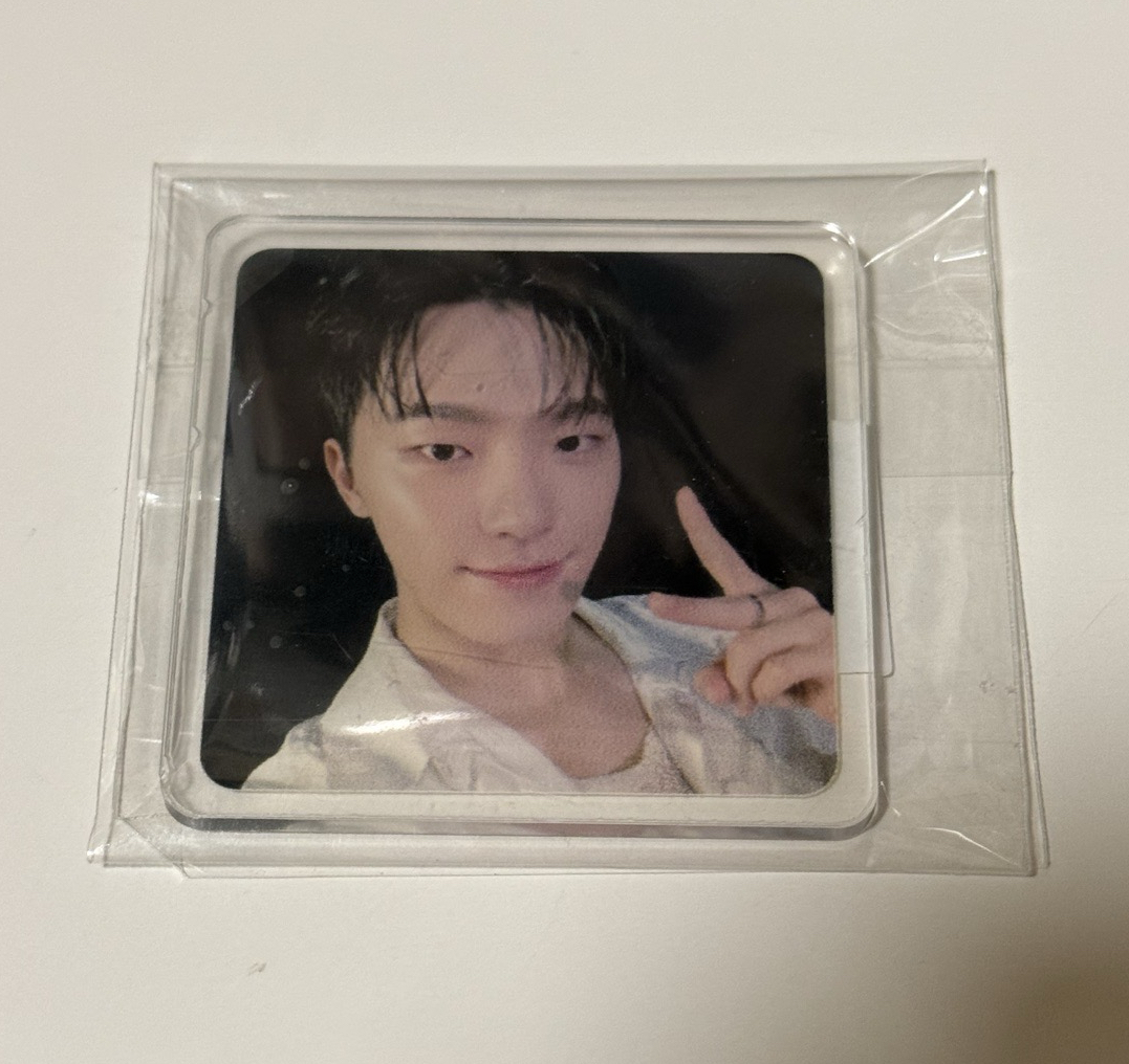 mini12 wvs磁鐵🩵