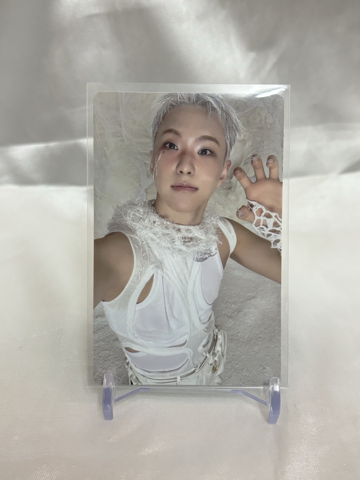 正規五專卡/虎爪榮