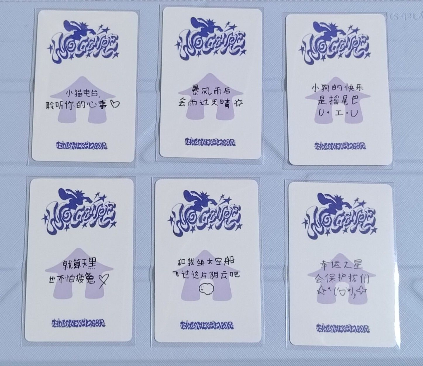 一直娛上海線下一套6張