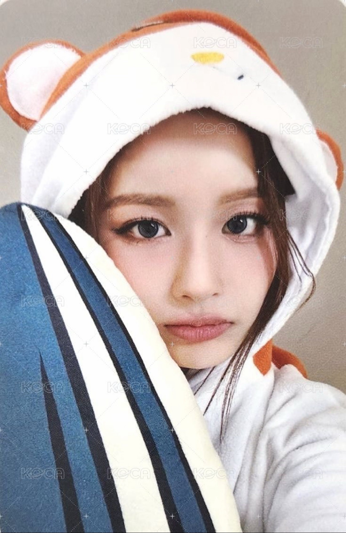 FORWARD SW 線上 5.0 倉鼠