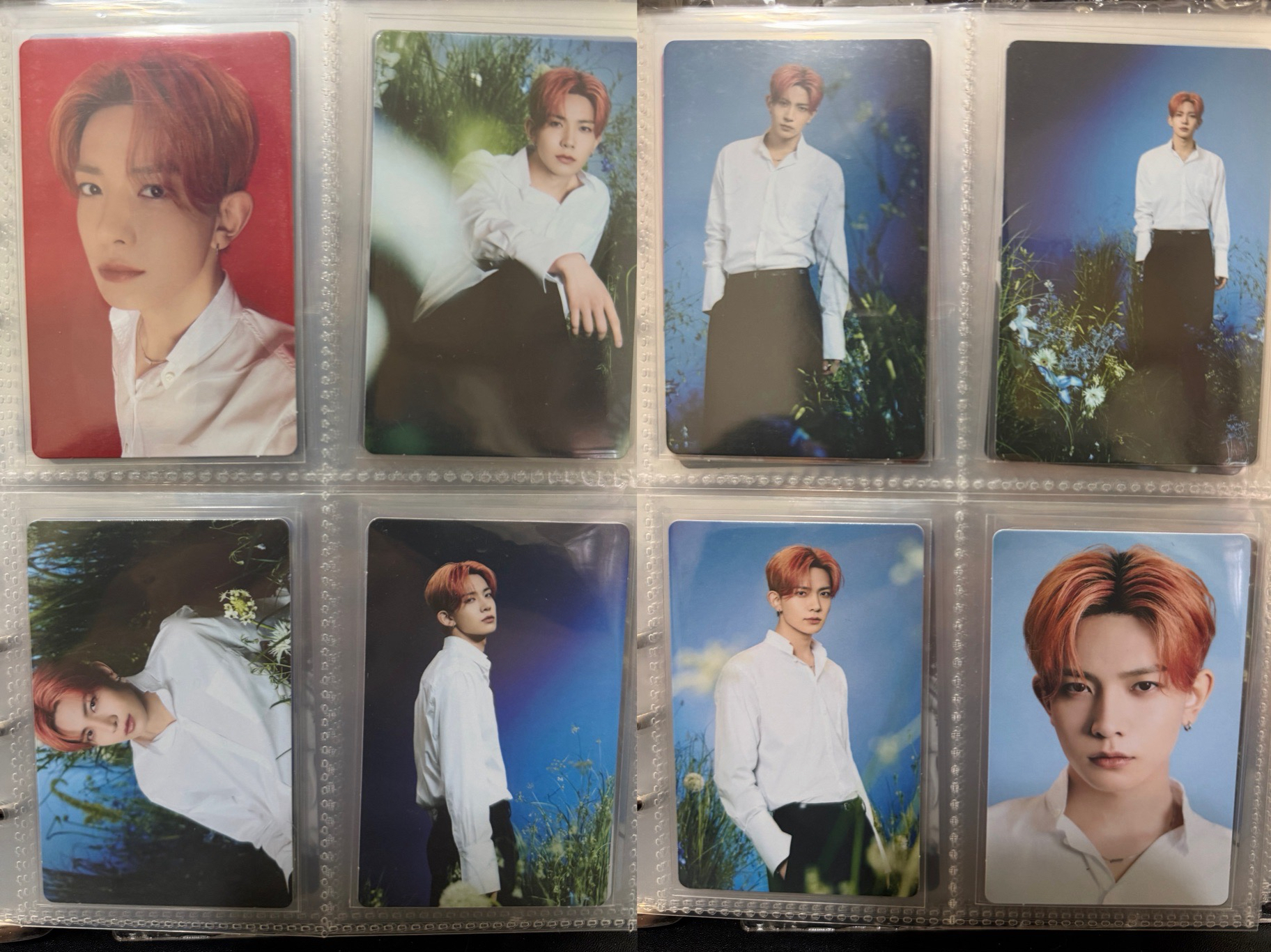 WTL FINAL韓安卡包隨機卡、滿額卡