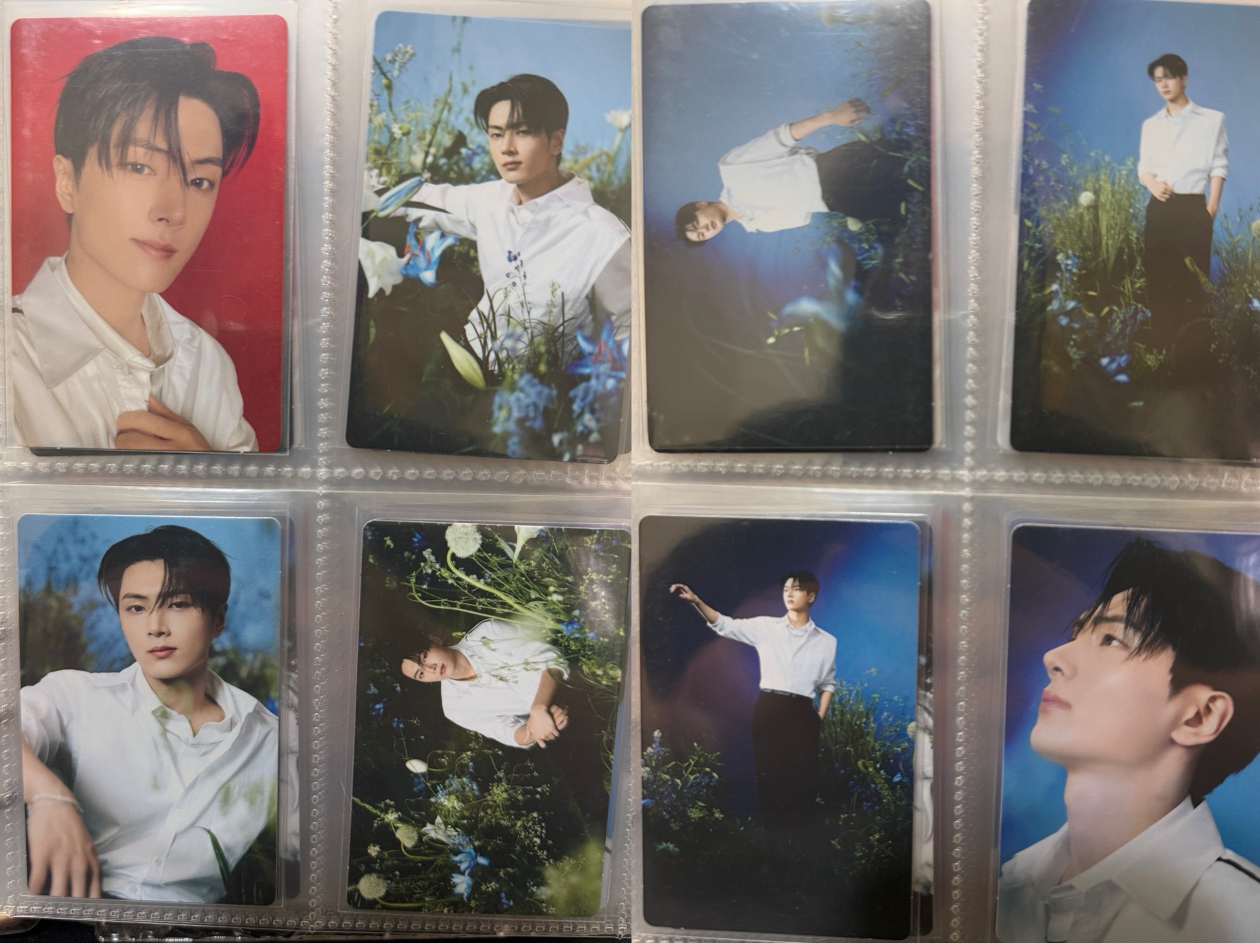 WTL FINAL卡包隨機卡