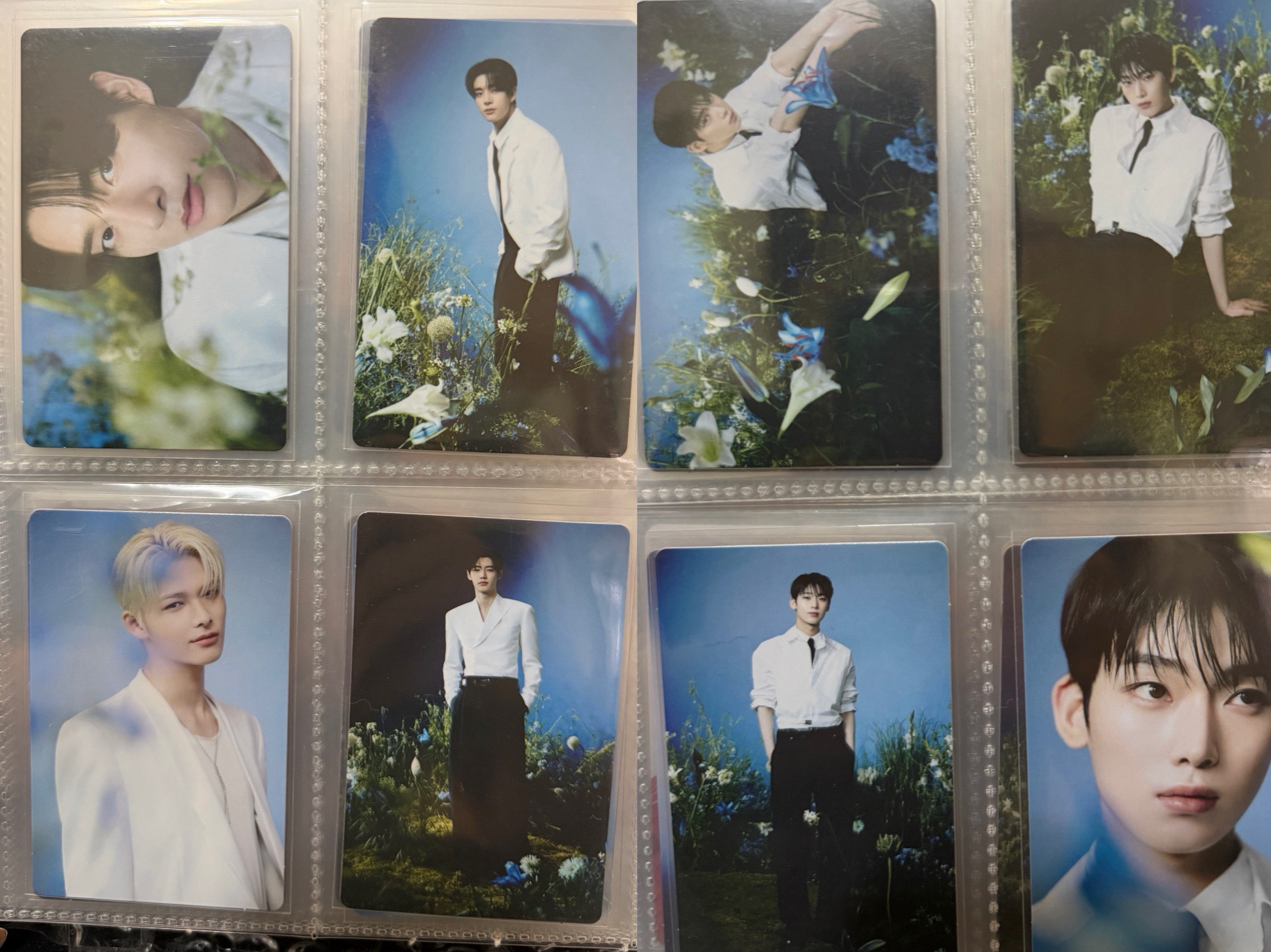 WTL FINAL卡包隨機卡