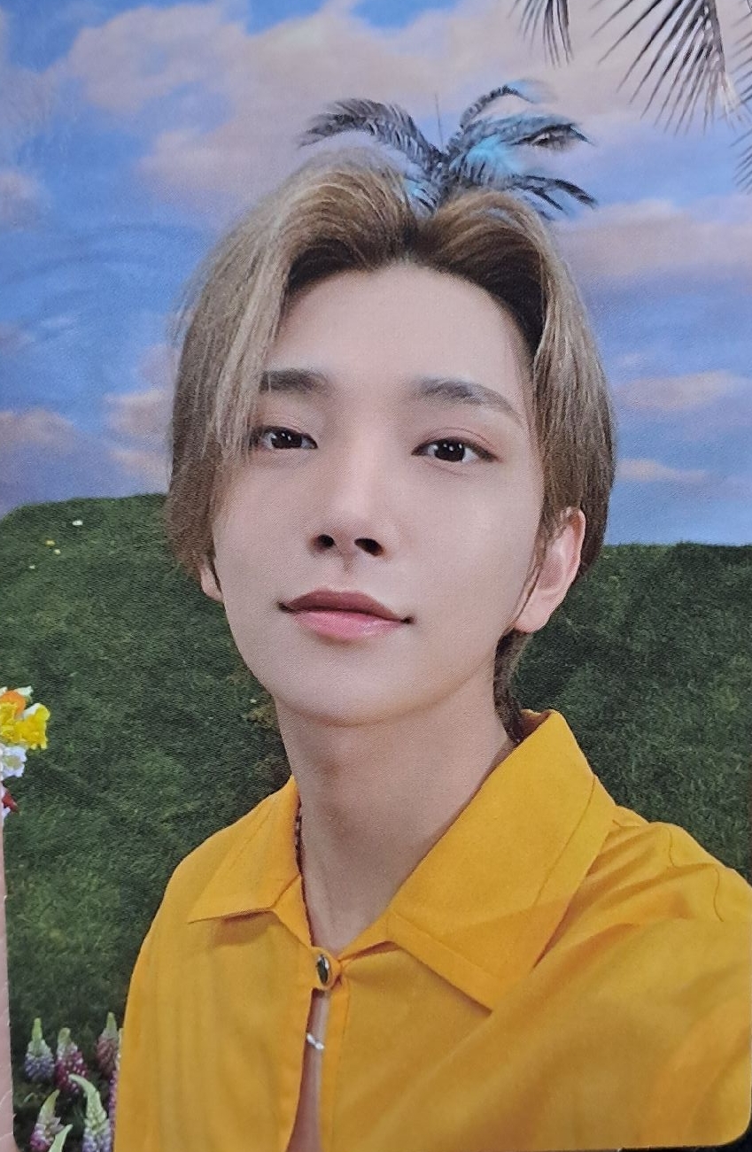 正四後續專卡 秀