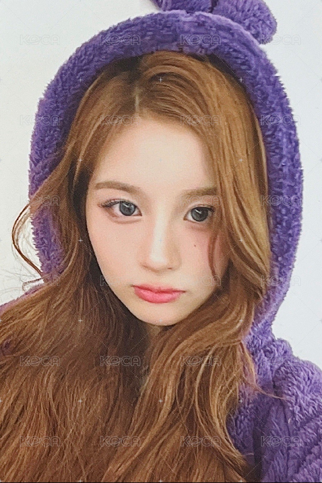 FORWARD SW 線上 7.0 天線寶寶薛