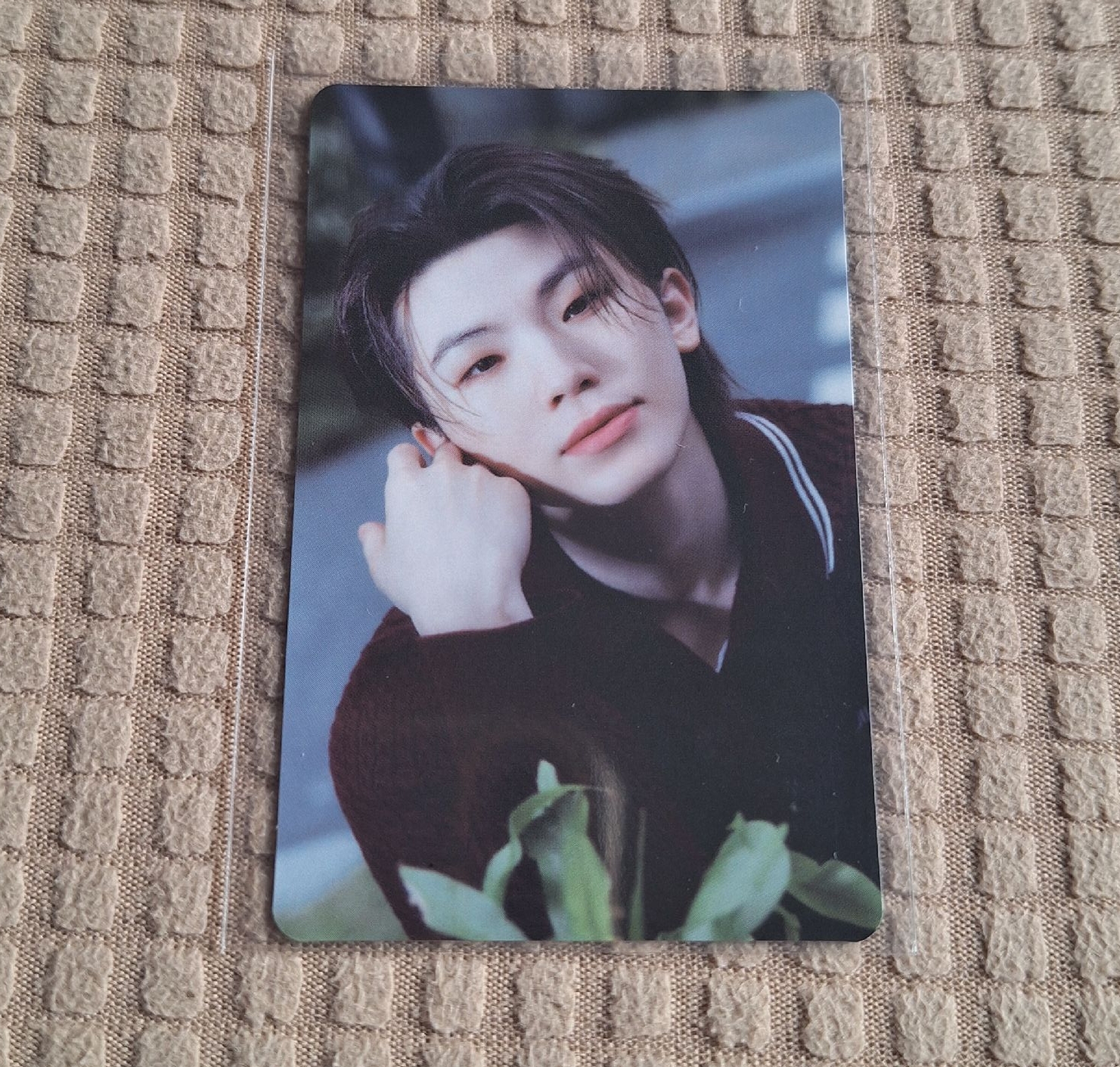 消費期限 初回B專卡