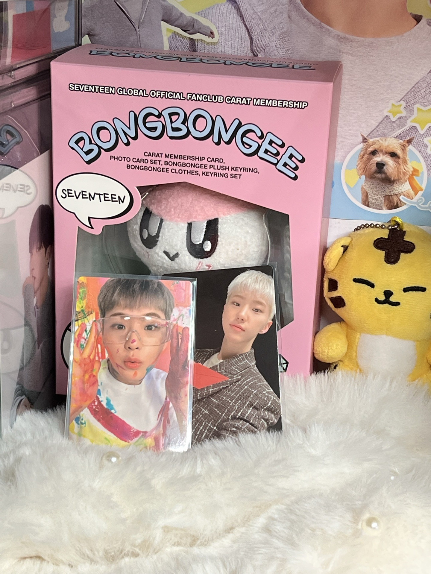 SEVENTEEN HOSHI🐯小卡