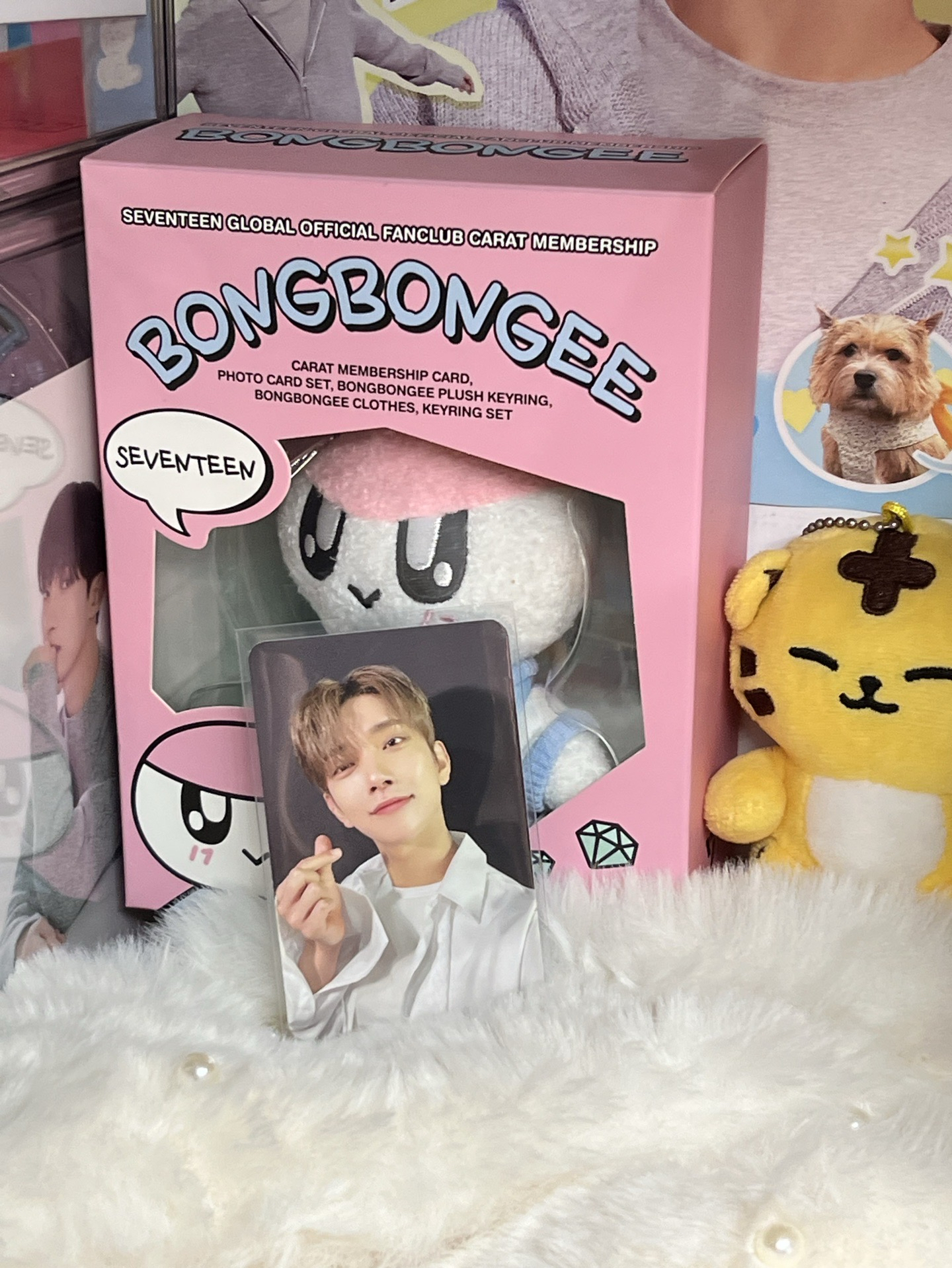 SEVENTEEN JOSHUA🦌小卡