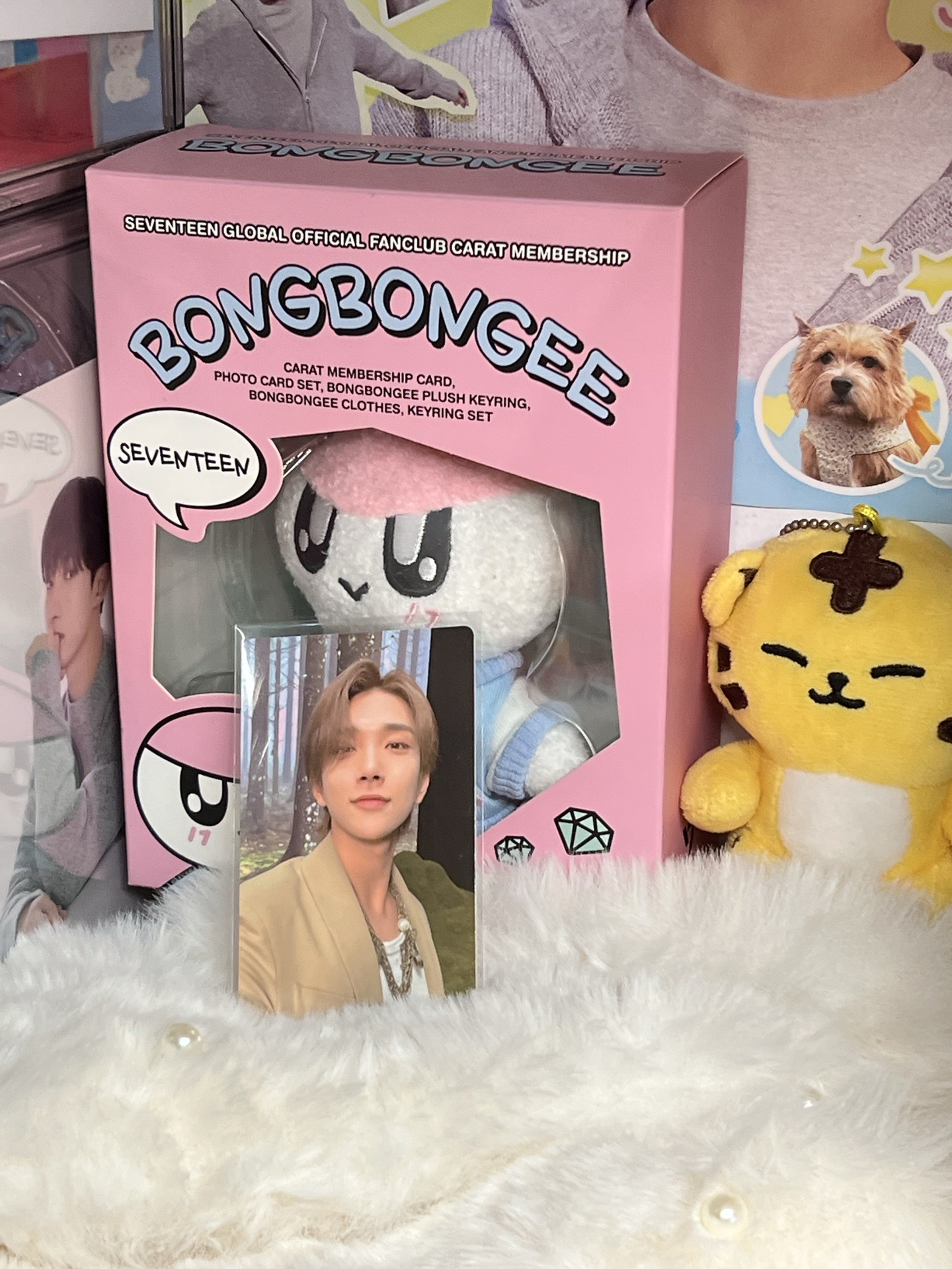 SEVENTEEN JOSHUA🦌小卡