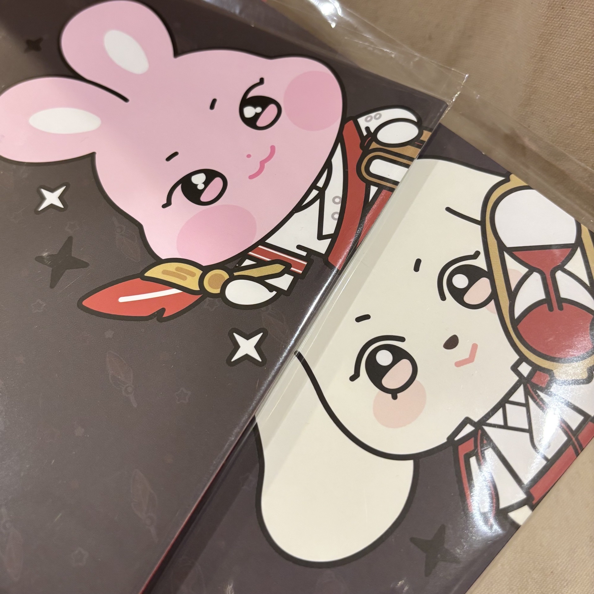 【現】ATEEZ 朴星化 姜呂尚｜ANITEEZ IN THE CALLING｜L夾組 