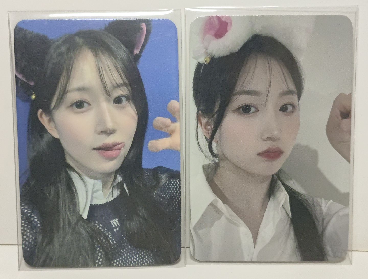 黑貓白貓嫄一對