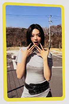 定💛（沒有圖鑑