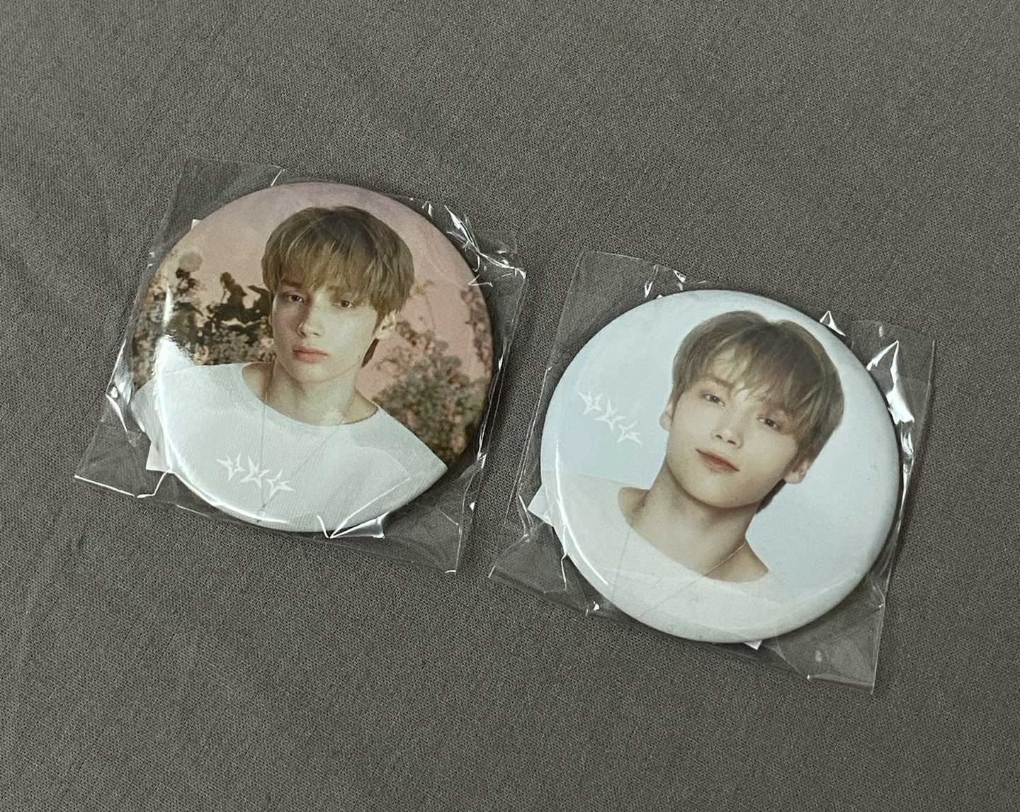 ⚐˒˒寧日巡徽章（兩個一起）