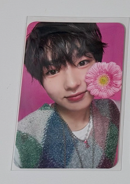 songbird專卡撒哭🥐